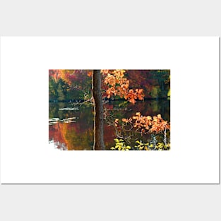 Autumn Light Posters and Art